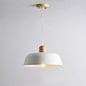 Nordic Wooden Pendant Light
